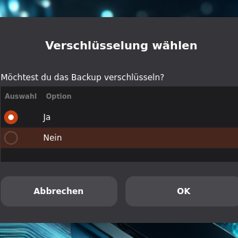 Die Sicherung von Browser und Mail Profilen können verschlüsselt werden.